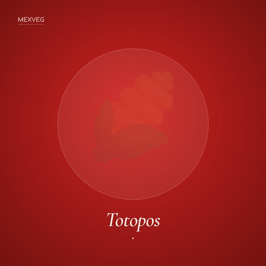 [TOTO-2] Totopos